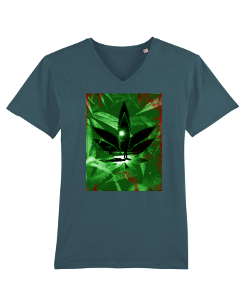 THC  Stargazer