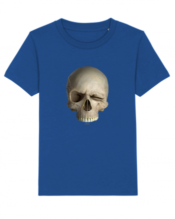 Craniu SKULLWINK SKULL WINK 01a Majorelle Blue