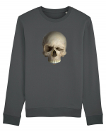 Craniu SKULLWINK SKULL WINK 01a Bluză mânecă lungă Unisex Rise