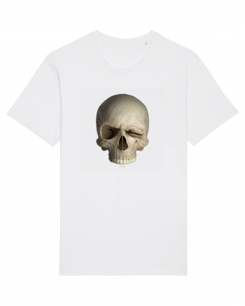 Craniu SKULLWINK SKULL WINK 01a White