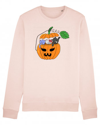 Cute halloween cats Candy Pink