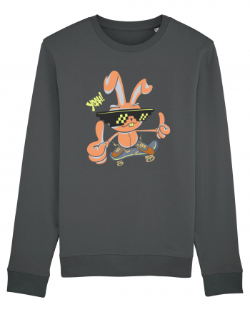 Bunny Skater Anthracite