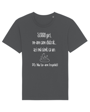Tricou de scuze  semivionovat Anthracite