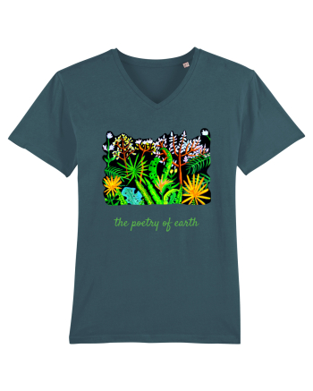 The poetry of earth  Stargazer
