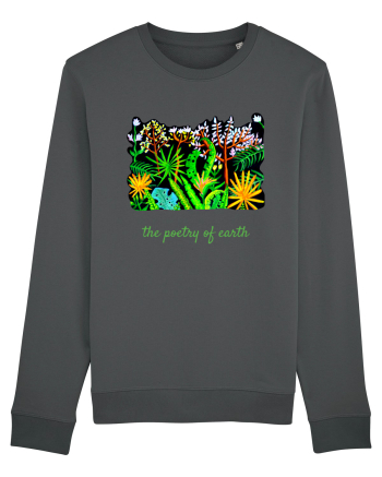 The poetry of earth  Anthracite