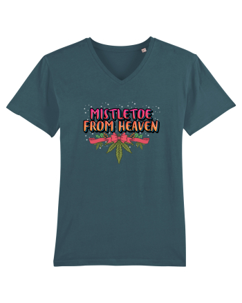 Mistletoe From Heaven Stargazer
