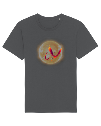 Pheonix Anthracite