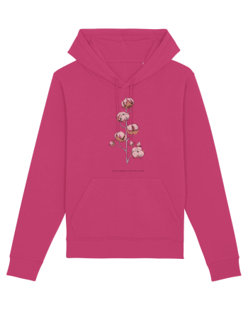 bumbac Raspberry