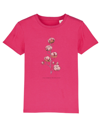 bumbac Raspberry