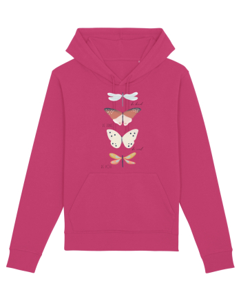 fluturi  Raspberry