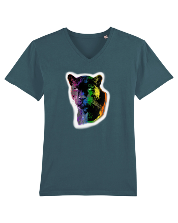 RGB Panther Stargazer