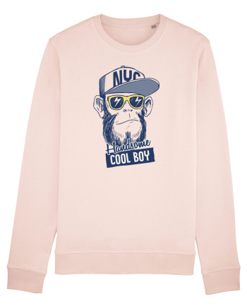 Cool Boy Monkey Candy Pink