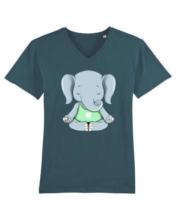 Elefanțel meditand  Stargazer