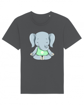 Elefanțel meditand  Anthracite