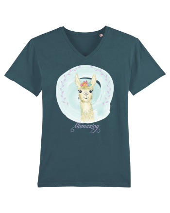 Lama Stargazer