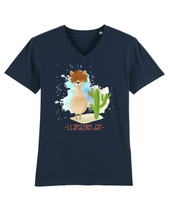 Lama cu mesaj French Navy