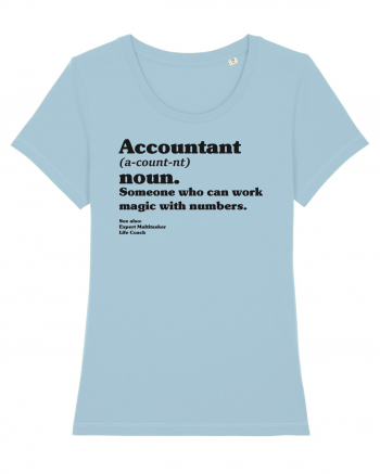 Accountant Noun Sky Blue