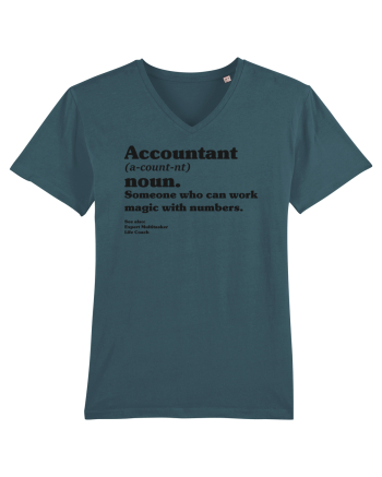 Accountant Noun Stargazer
