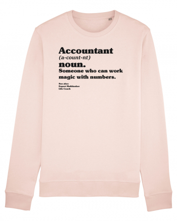 Accountant Noun Candy Pink