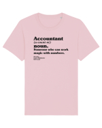 Accountant Noun Tricou mânecă scurtă Unisex Rocker