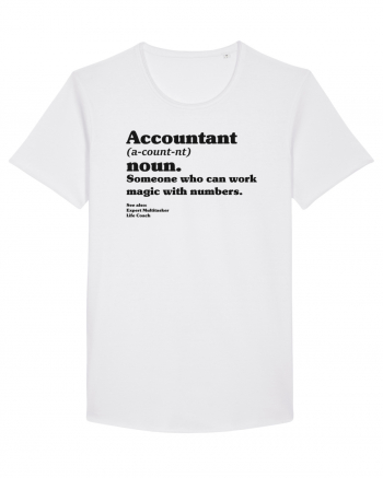 Accountant Noun White