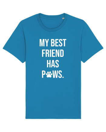 My Friend has Paws Azur