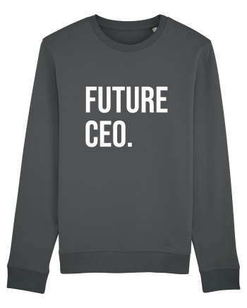 Future CEO Anthracite