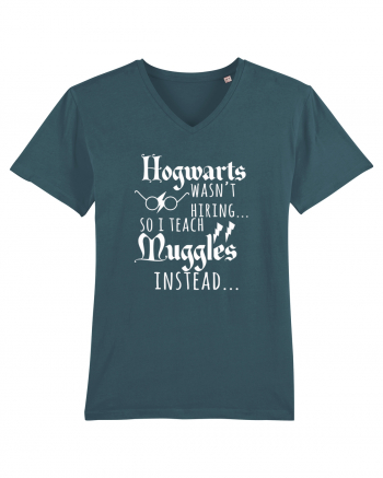 Hogwarts Teacher Stargazer