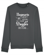 Hogwarts Teacher Bluză mânecă lungă Unisex Rise