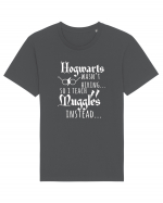 Hogwarts Teacher Tricou mânecă scurtă Unisex Rocker