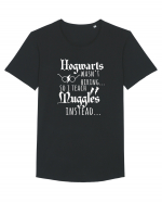 Hogwarts Teacher Tricou mânecă scurtă guler larg Bărbat Skater