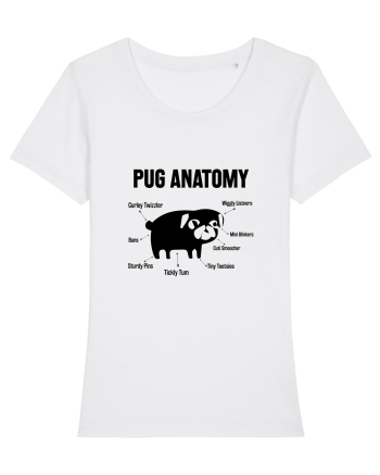 Pug Anatomy White