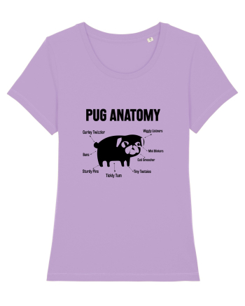 Pug Anatomy Lavender Dawn