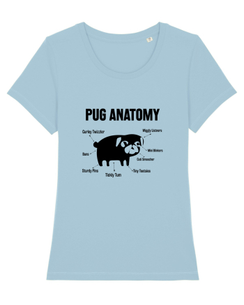 Pug Anatomy Sky Blue