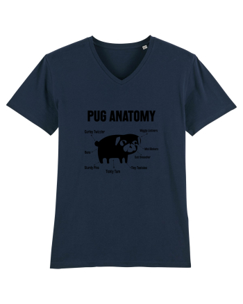 Pug Anatomy French Navy
