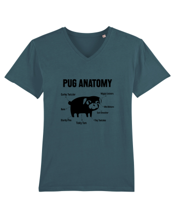 Pug Anatomy Stargazer