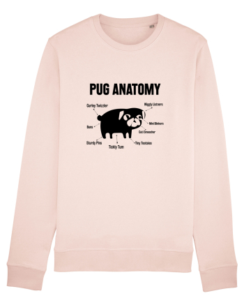 Pug Anatomy Candy Pink