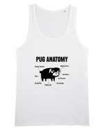 Pug Anatomy Maiou Bărbat Runs