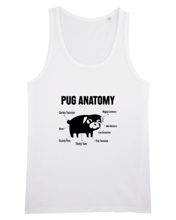 Pug Anatomy White