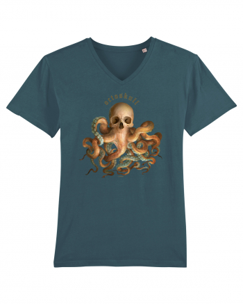 OctoSkull - octopus + skull - caracatita craniu Stargazer