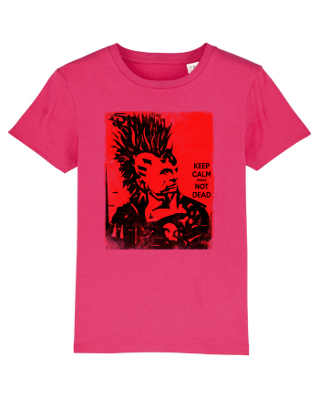 punks not dead Raspberry