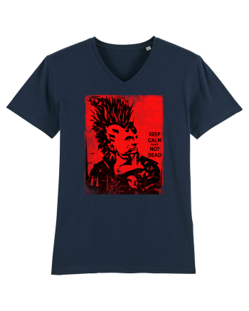 punks not dead French Navy