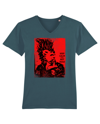 punks not dead Stargazer