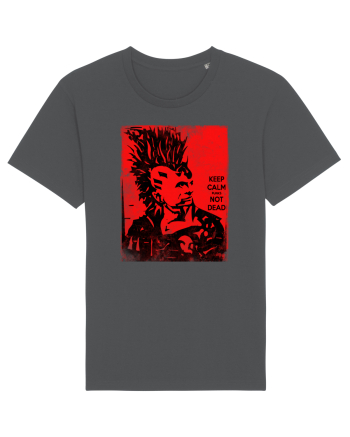 punks not dead Anthracite