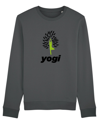 yogi Anthracite