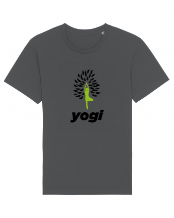 yogi Anthracite