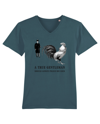 A True Gentleman Stargazer