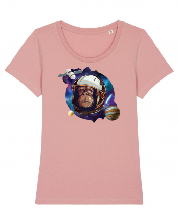 Chimp Astronaut Canyon Pink
