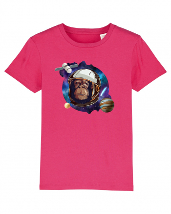 Chimp Astronaut Raspberry