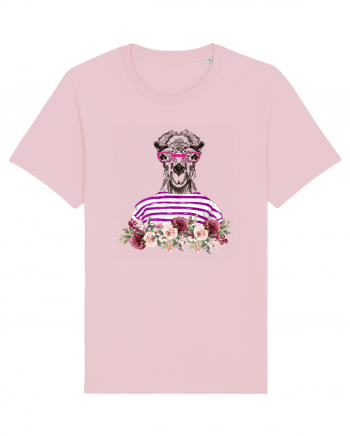COOL CAMEL Cotton Pink